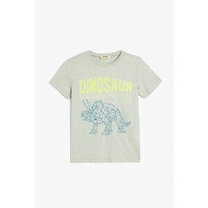 Tricou cu imprimeu cu dinozaur imagine