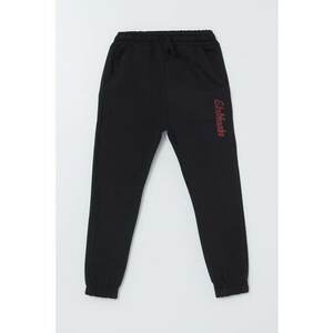 Pantaloni de trening jogger cu talie elastica imagine