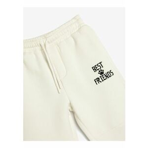 Pantaloni de trening cu snur de ajustare si buzunare imagine
