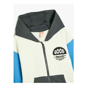 Hanorac cu model colorblock si broderie text imagine