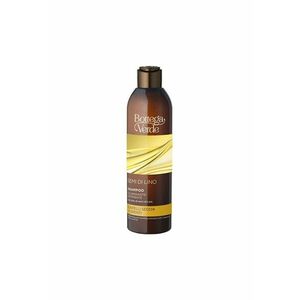 Sampon pentru par - cu ulei de seminte de in - Semi di Lino - 250 ML - imagine