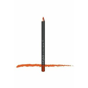 Creion de buze Lipliner Pencil imagine