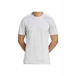 Tricou Campeon 25 pentru barbati - gri - imagine