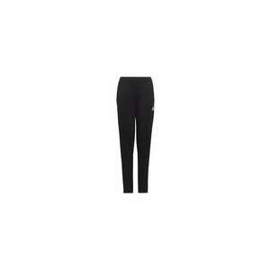 Pantaloni trening ENT22 TR PNT Y HC0337 imagine