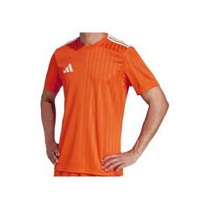 Tricou Campeon 25 pentru barbati imagine