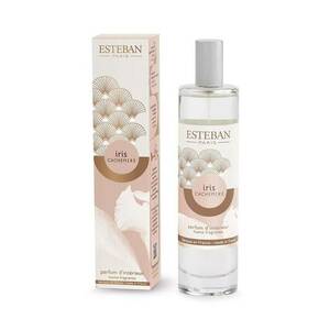 Esteban parfum de camera Iris&Cachemire 75 ml imagine