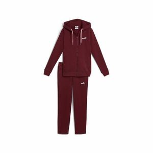 Metallic Hooded imagine
