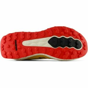 New Balance FRESH FOAM X GAROE V2 Încălțăminte de alergare pentru bărbați, galben, mărime 40 imagine