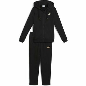 Trening Puma HOODED SWEAT SUIT imagine