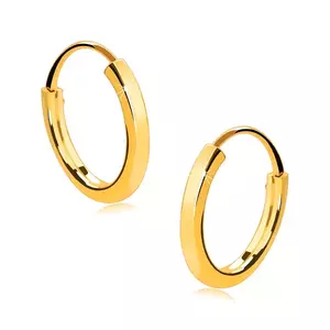Cercei rotunzi din aur de 14K - umeri pătrat subțiri, suprafață lucioasă, 10 mm imagine