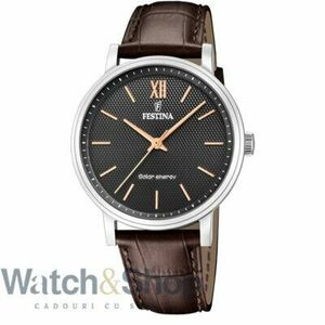 Ceas Festina F20660/6 imagine
