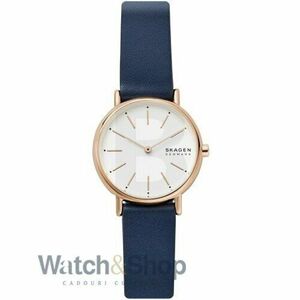 Ceas Skagen Signatur SKW2838 imagine