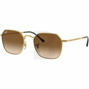 Ochelari de soare Ray-Ban Ray-Ban RB3694 001/51 53 imagine