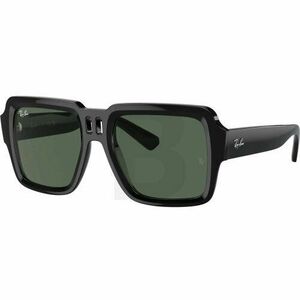 Ochelari de soare Ray-Ban Ray-Ban RB4408 667771 54 imagine