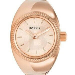 Ceas Fossil Fossil ES5247 imagine