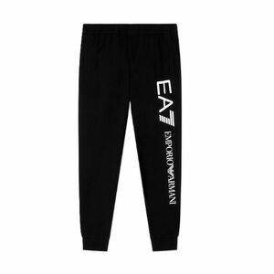 Pantaloni EA7 TRAIN LOGO SERIES M PANTS CH EXTENDED LOGO COFT CC imagine