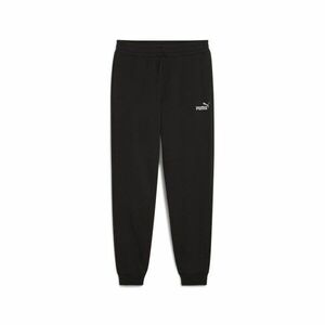 Pantaloni Puma ESS 2 COLOR No. 1 Logo Sweatpants TR cl imagine