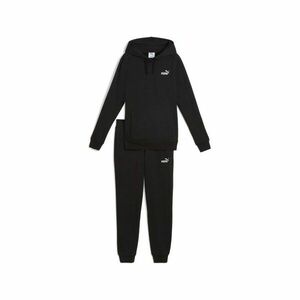 Trening Puma Hooded Sweat Suit FL cl imagine