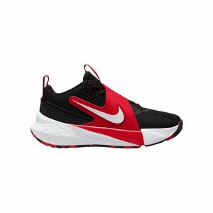 Pantofi sport Nike TEAM HUSTLE D 12 GS imagine