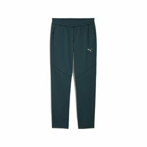 Pantaloni Puma Evostripe Warm Pants imagine
