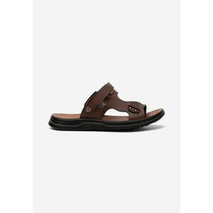 Papuci barbati Dorgan maro imagine