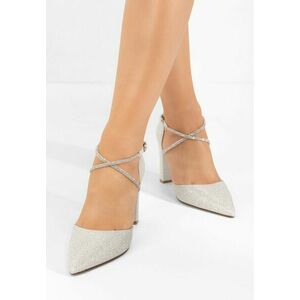 Pantofi cu toc gros Mandaryn argintii imagine