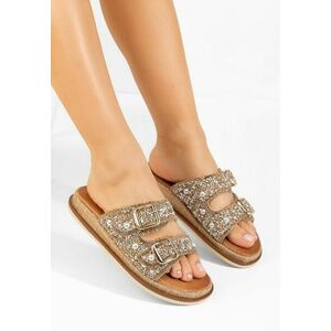 Papuci fara toc Shellona aurii imagine