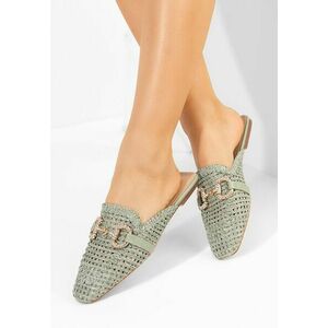 Saboti dama Shelyana verzi imagine