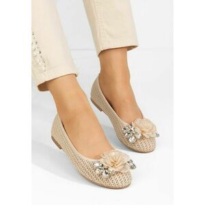 Balerini eleganti Sidney bej imagine