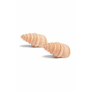 &k amsterdam solniță și piperniță Shell imagine