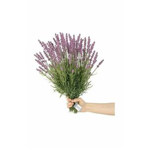 flori artificiale Lawenda 10-pack imagine
