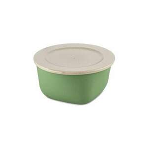 Koziol recipient cu capac Connect Box 4 L imagine