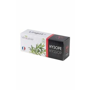 Veritable insertie de seminte Hyssop imagine