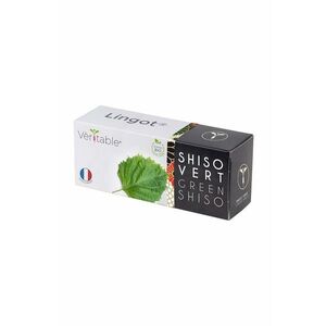 Veritable insertie de seminte Green Shiso imagine
