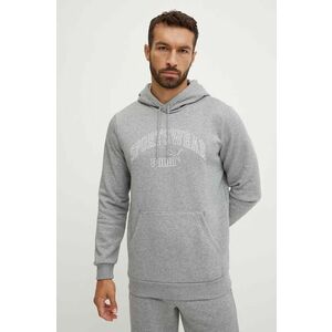 Puma bluza barbati, culoarea gri, cu glugă, cu imprimeu, 681775 imagine