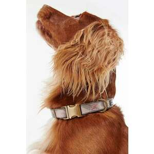 Barbour gulere pentru câini imagine