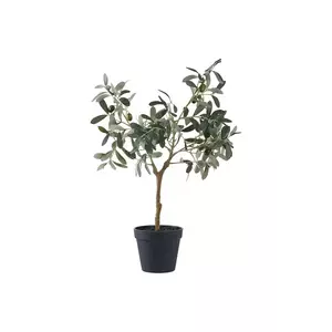 House Nordic plantă artificială în ghiveci Olive Tree culoarea verde imagine