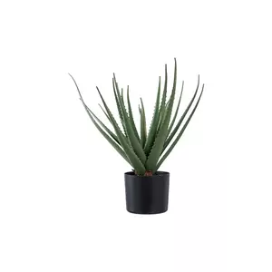 House Nordic plantă artificială în ghiveci Aloe Vera culoarea verde imagine