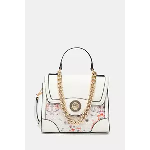 Aldo geantă GOULBURNN culoarea bej, 13989232 imagine