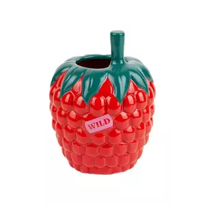 DOIY vază decorativă Farmers Raspberry imagine