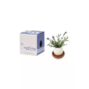 Noted set pentru cultivarea unei plante Eggling Prickly Cactus culoarea alb imagine