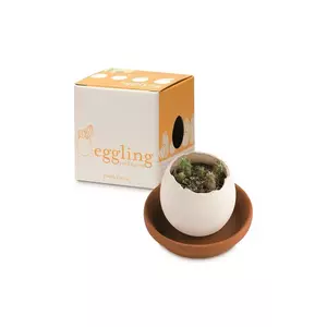 Noted set pentru cultivarea unei plante Eggling Lavender de Provence culoarea alb imagine