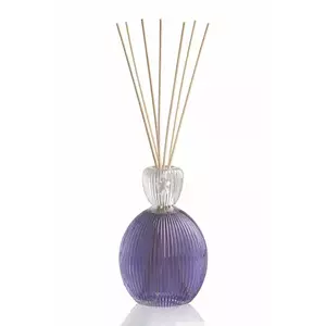Mr & Mrs Fragrance difuzor de arome Queen Lilac 04, 500 ml imagine