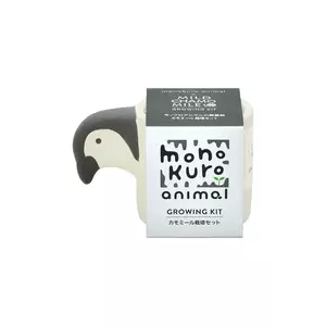 Noted set pentru cultivarea unei plante Monokuro Animals Penguin culoarea alb imagine