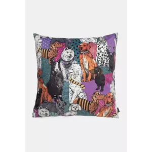 Medicine perna imagine