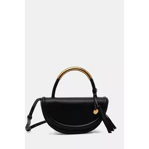 Aldo poșetă ARINELLA culoarea negru, 13989411 imagine