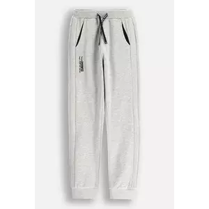 Coccodrillo pantaloni de trening culoarea gri, GAMER BOY JUNIOR imagine