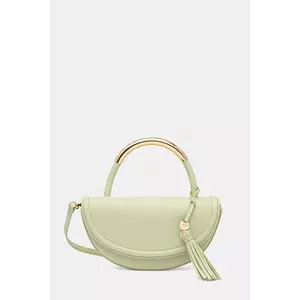 Aldo poșetă ARINELLA culoarea verde, 13989353 imagine