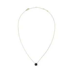 Daniel Wellington colier DW00401444 imagine