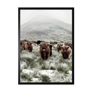 Reproducere pe hârtie înrămată 50x70 cm imagine